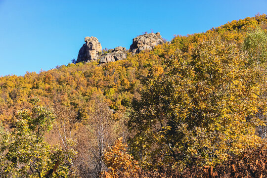 山峰森林