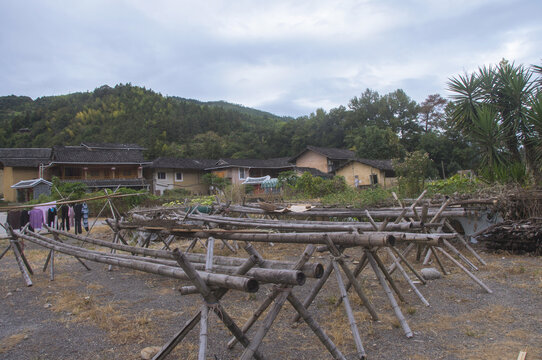 河坑乡村景色