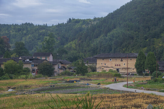 河坑乡村田园景色