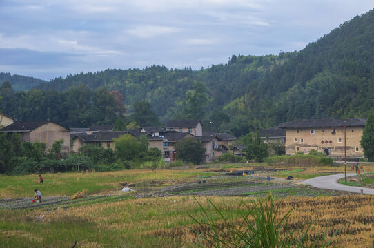 闽南漳州的农村风景