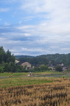 乡村田园冬季风光