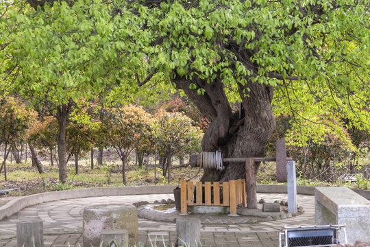 乡村旅游景观图片