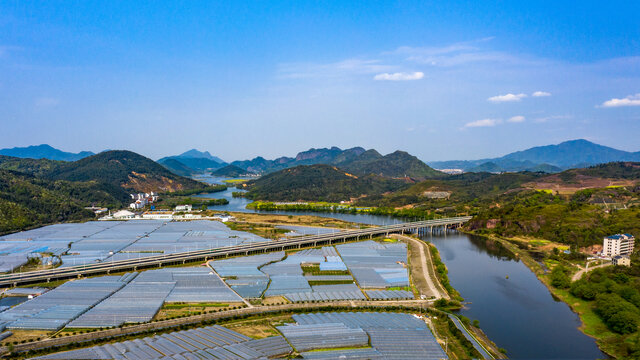 大棚种植生态农业美丽乡村公路