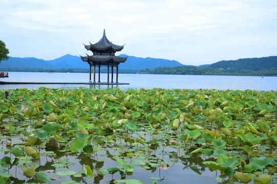 西湖山水