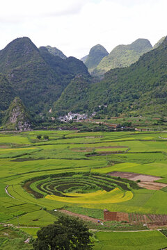 万峰林八卦田