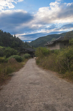 乡村道路景色