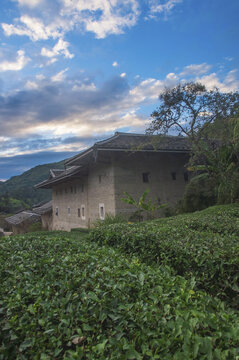 茶园土楼风景