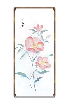 水彩月見草插畫