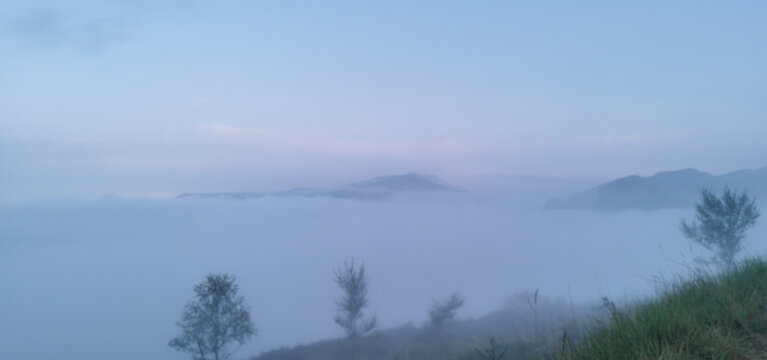 高山云雾