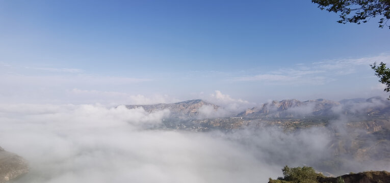 高山云雾