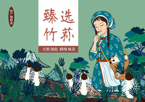 竹荪礼盒包装插画采摘竹荪