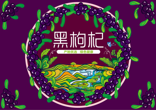 黑枸杞包裝