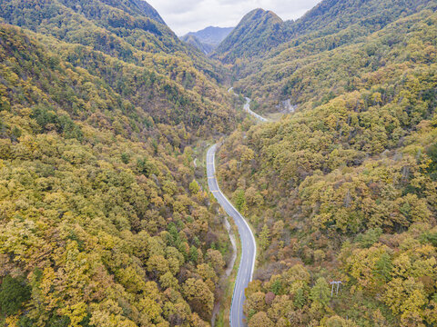 湖北神农架秋天公路