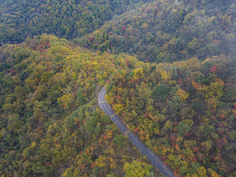 湖北神农架秋天公路