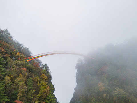 湖北神农架秋天公路