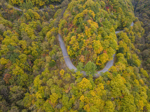 湖北神农架秋天公路