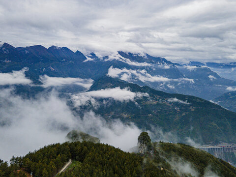 高山云雾