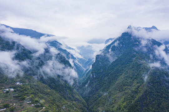 高山云雾