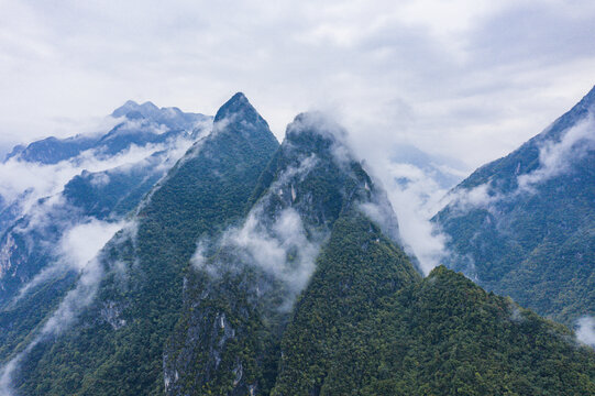 高山森林云雾