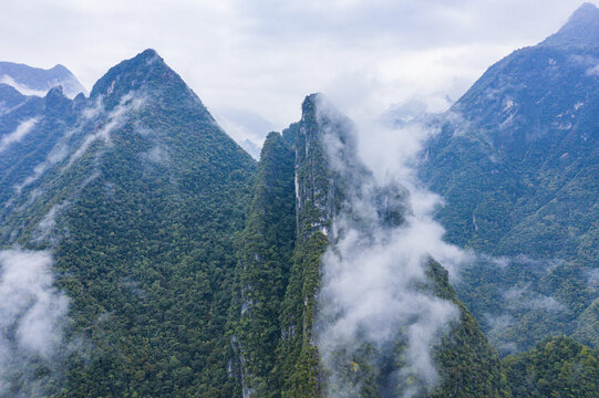 高山森林云雾