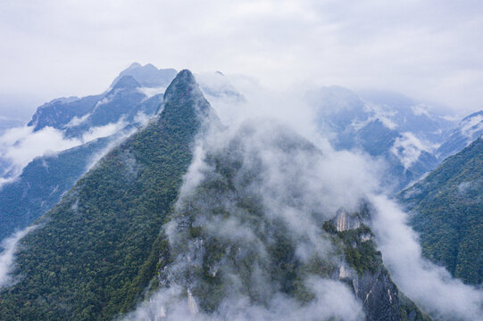 高山森林云雾