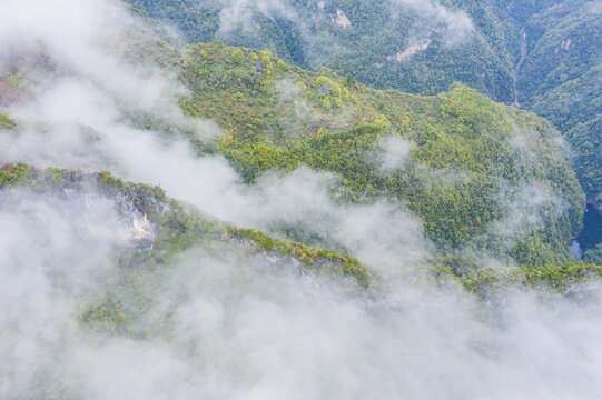 高山云雾