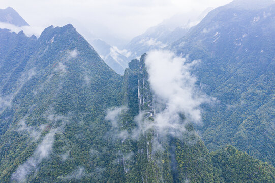 高山云雾