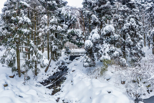 金华山雪景