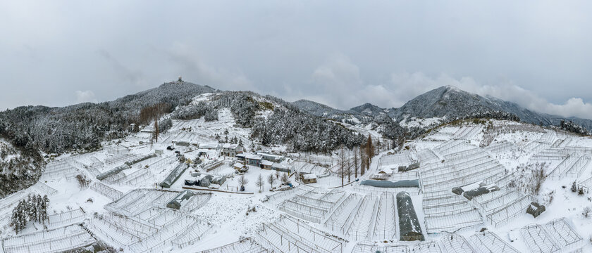 金华高山蔬菜基地雪景风光