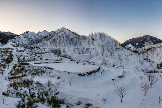 杭州临安山核桃树雪景风光