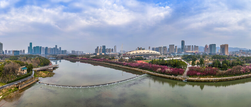 义乌江滨绿廊城市梅花花海风光