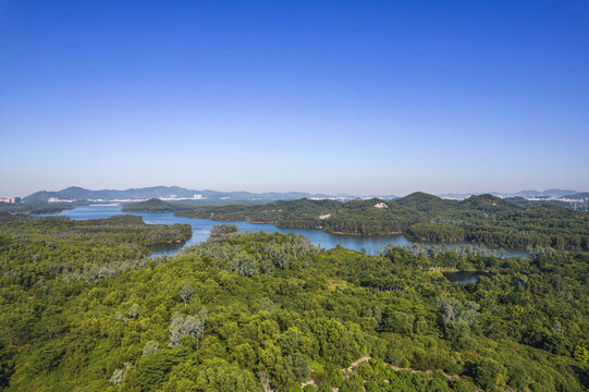 深圳铁岗水库