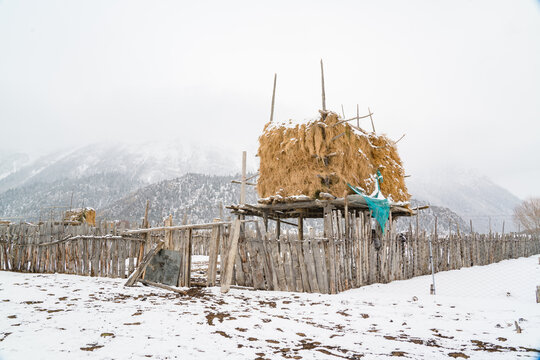 牧场雪景