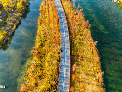 公园城市湖中绿道秋色