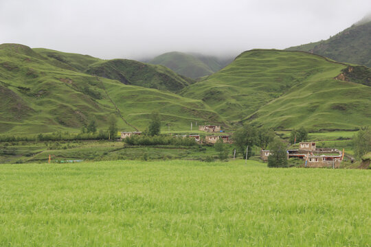 稻城村庄