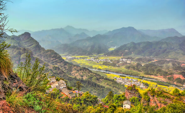 齐云山油菜花开