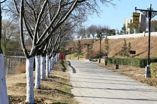 园林步道