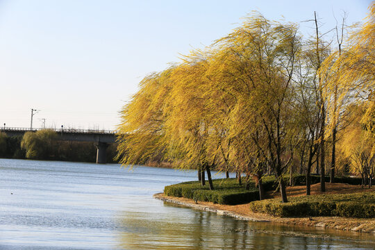 唯美河岸秋色