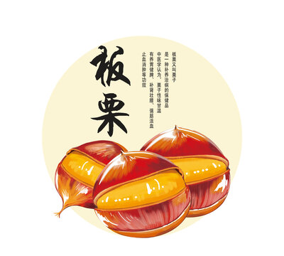 板栗插畫(huà)