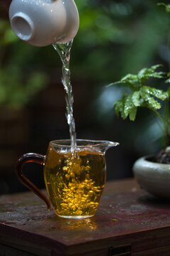茶湯泡茶玻璃公道杯茶具