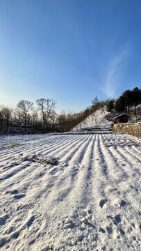 大雪覆盖的田垄