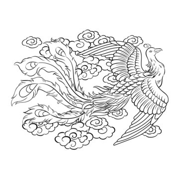 鳳凰祥云線描