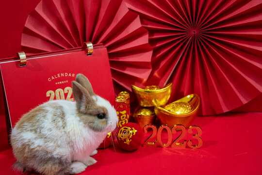 2023年兔年春节新年