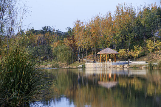 湿地公园