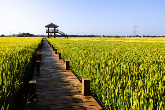 苏州同里北联村