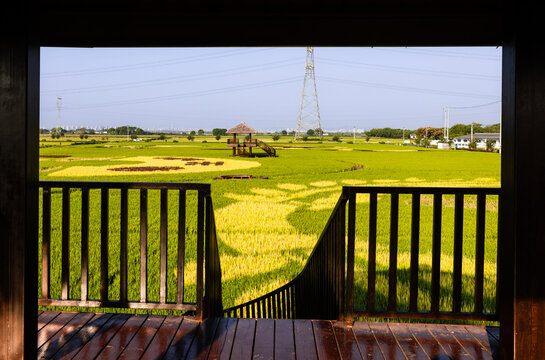 广袤田野