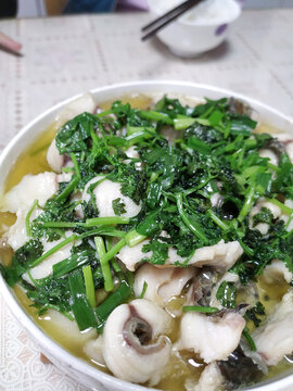水煮魚(yú)