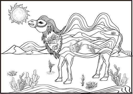 駱駝黑白插畫