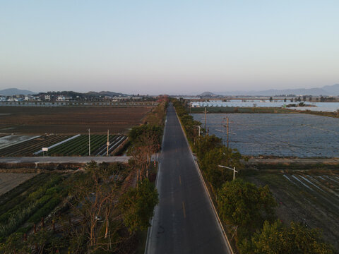 农村道路