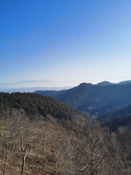 洪庆山森林公园